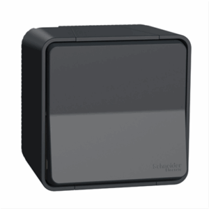 SCHNEIDER MUREVA STYL - Va et vient saillie gris ip55 - MUR35021