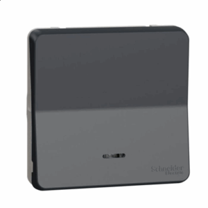 SCHNEIDER MUREVA STYL - Va et vient lumineux gris composable ip55 - MUR35025