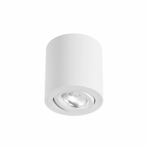 BENEITO - Plafonnier ONE Surface GU10 Orientable Blanc - 4480
