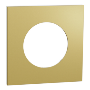 SCHNEIDER ODACE METAL - Plaque de finition 1 poste laiton support blanc