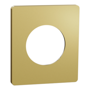 SCHNEIDER ODACE ARCHITECTE - Plaque de finition 1 poste laiton